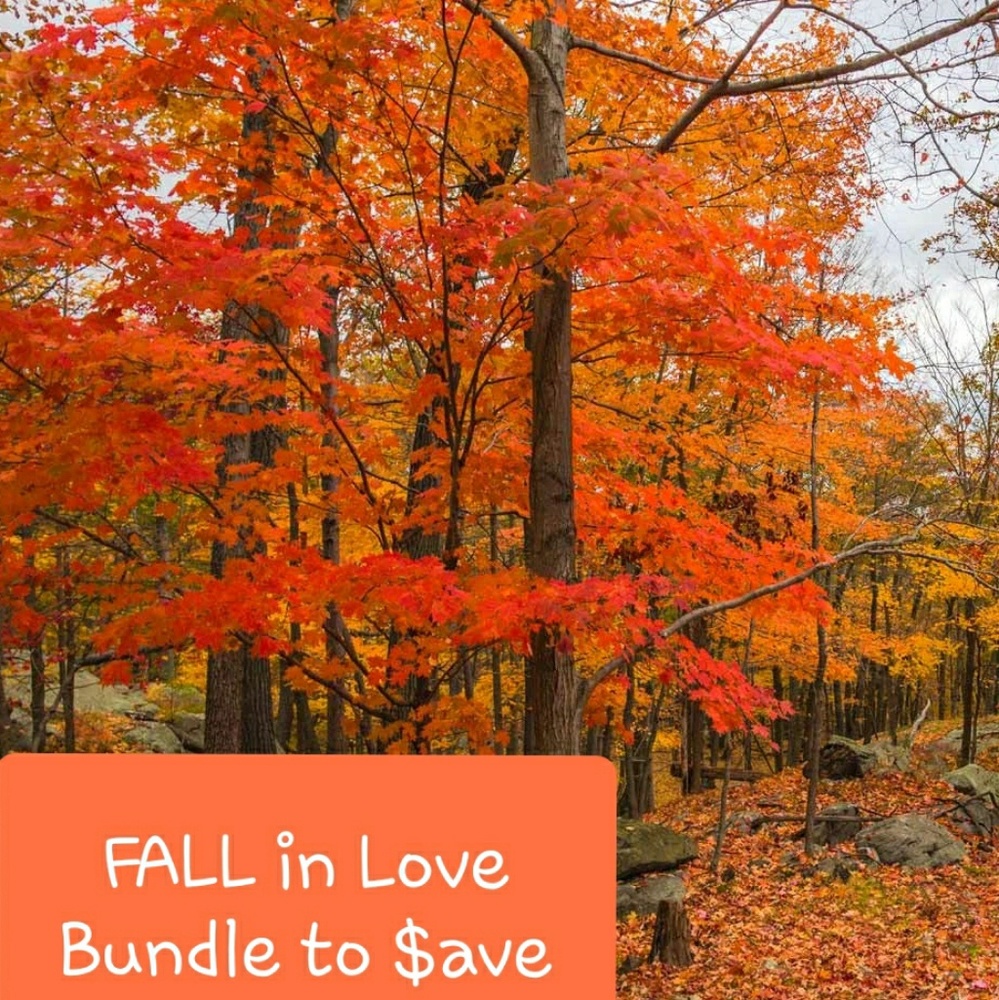 $$$ Remember to Bundle to Save $$$ - Picture 3 of 5